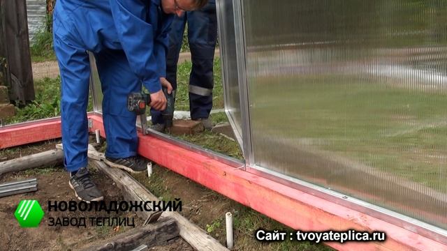 Видеоинструкция сборки теплицы из поликарбоната "Сказка" - от Новоладожского Завода Теплиц.