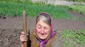 Помогли вспахать огород Аннушке!!!!