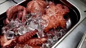 Варим молодых осьминогов