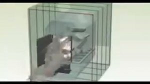 Краскотел