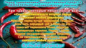 Три травы, которые лечат почти всё