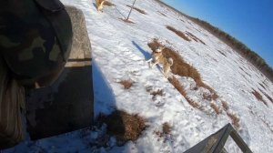 Прокатились разведали болото