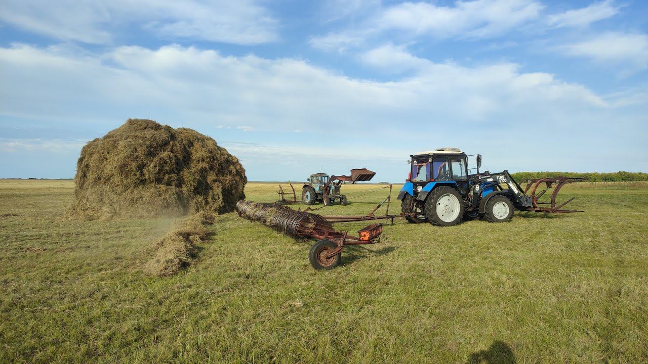 И уже сентябрь! сенокос затянулся,мешают дожди. смотреть онлайн