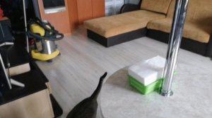 WB СДАЛСЯ _ много дел по дому _ ждём гостей 26 мая 2022 года