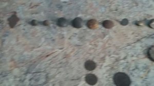 Находки с металлоискателем гаррет 250, Аська 250, Garrett ACE 250