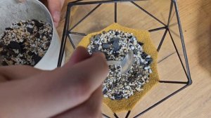 Мастер класс по созданию флорариума с суккулентами: сделать своими руками может каждый