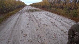 Охота на глухаря. Охолощенный калаш. Хмао югра.