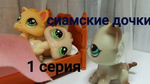 Lps сериал ( сиамские дочки ) серия 1