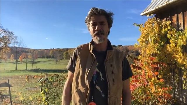 Dog Safety, something every owner should have because Rat poison is Deadly ! смотреть онлайн