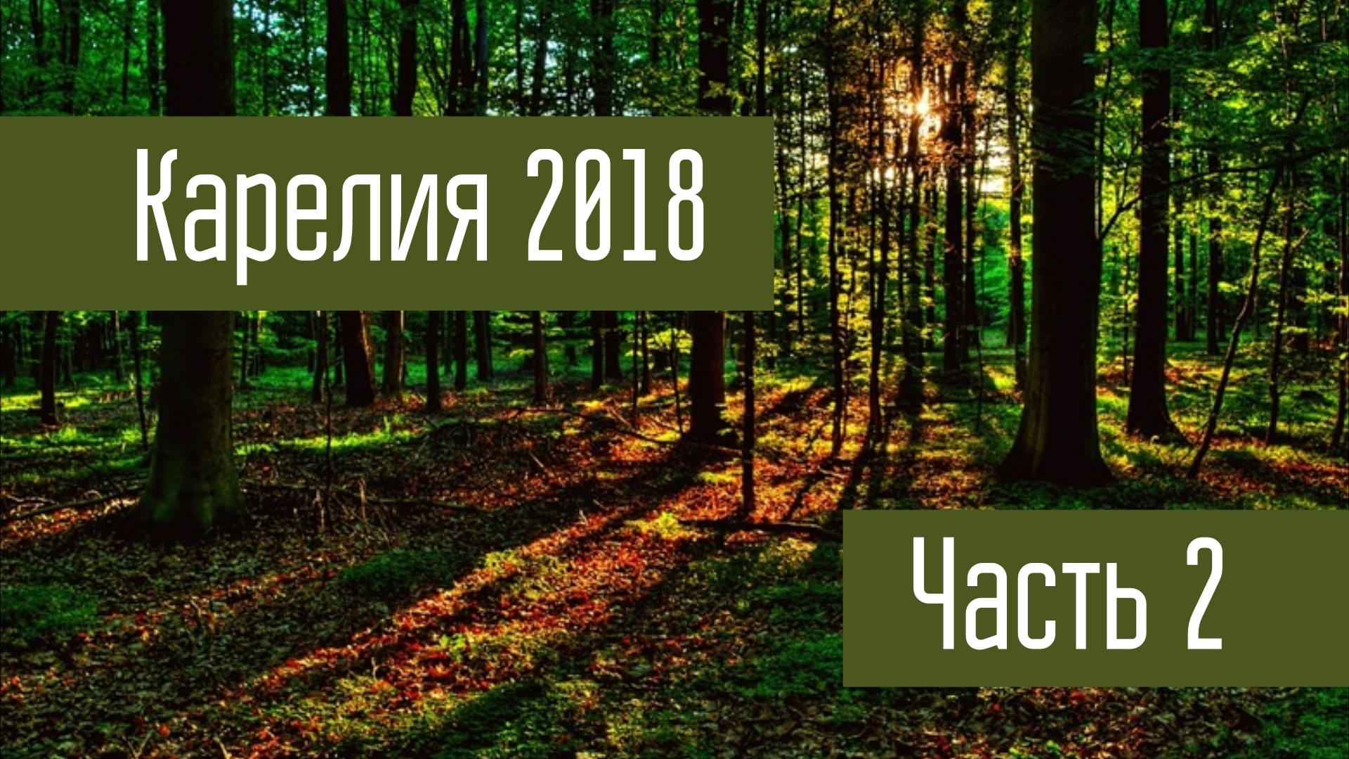 Путешествие в Карелию. Часть 2. Пяозерский. Стоянка на реке Понча. Радиосвязь на КВ.