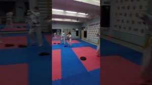 Развитие скоростносиловой выносливости в Тхэквондо МФТ