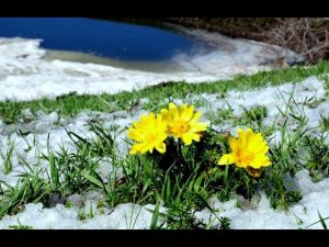 Копосезон 2022! Открытие!