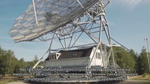 Австралийский паук плетет самую прочную паутину в мире