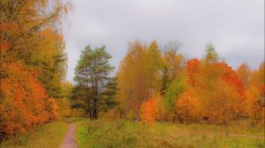 Осенняя симфония. Музыка Андрея Петрова. Автор видео Юрий Баженов.