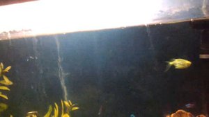 Ильменский заповедник.