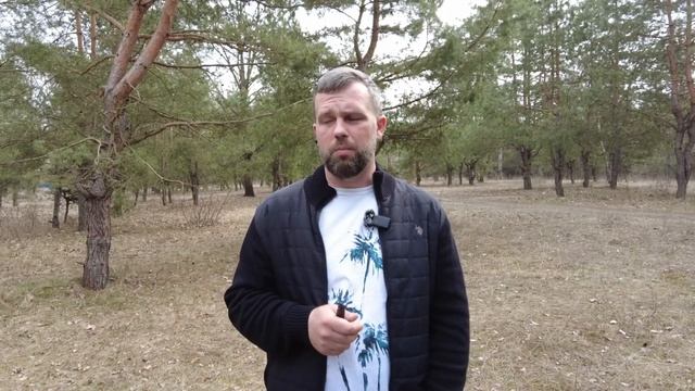 Растаможка авто из Европы - теперь бесплатно! Что это значит для потребителя? (ПЕРЕЗАЛИВ)