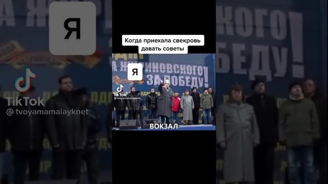 Жириновский чемодан вокзал фото