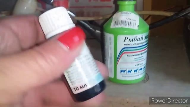 Два Необходимых Препарата для Кур Несушек Весной!//Кровь в Яйцах!!//Жизнь на Кубани.