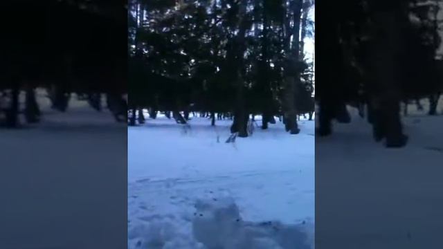 #Ломовскийспирт зимой смотреть онлайн