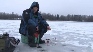 КОРЮШКА на зимний ФИДЕР / На рыбалку с Нормундом #130