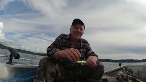 Топ воблеров по судаку неудачников 2022