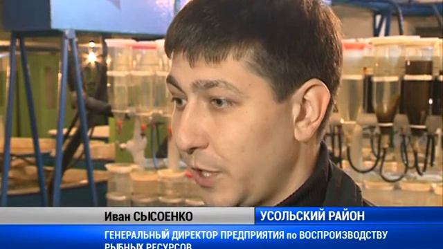 Рыборазведение
