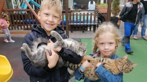 Счастливый Хотей Ольгинка октябрь 2023