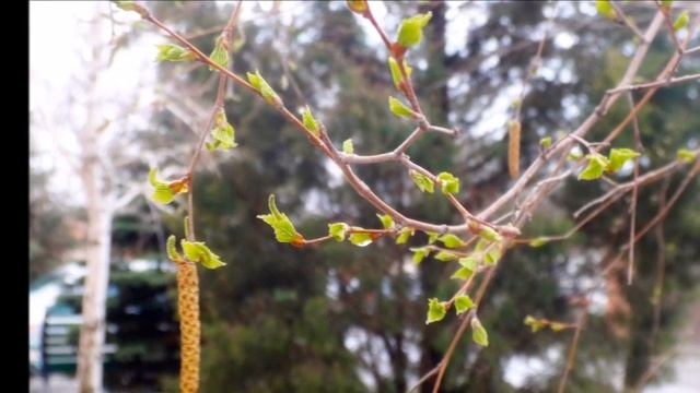 Март 27, 2023 года. В ожидании чуда. смотреть онлайн