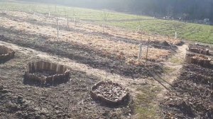 23.03.22.года теплица своими руками из подручного материала.Быть ранним помидорам.