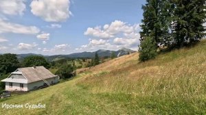 Сирота обнаружил в лесу вертолет, а заглянув в кабину обомлел от шока...