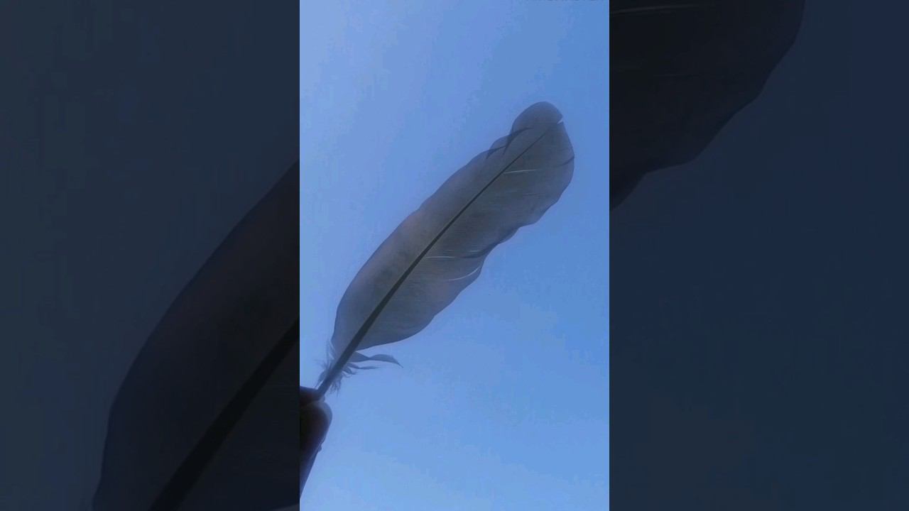 What Are We Living For ? смотреть онлайн