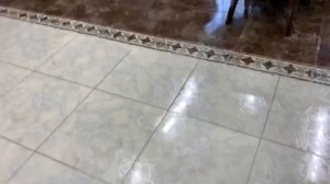 Первый день щенка в доме. Сделали вольер