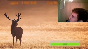 Пинги от БЫВШЕЙ | 2 Месяца нет пингов от БЫВШЕЙ ДЕВУШКИ