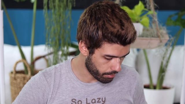 Hoya linearis - Houseplant Exposé смотреть онлайн