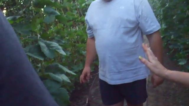 Видео про Венус, Рилайнс. смотреть онлайн