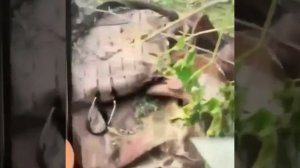 ВС РФ уничтожили очередную группу нацистов и наёмников на Запорожском направлении