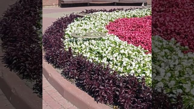 Солнечные часы в Гродно, ещё их называют гномоны.Восстановлены традиции времён Антония Тызенгауза. смотреть онлайн