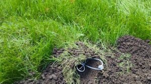 уничтожение кротов на участке