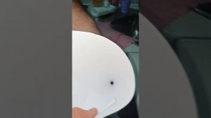 Борьба с мошкарой дома Легко и просто.