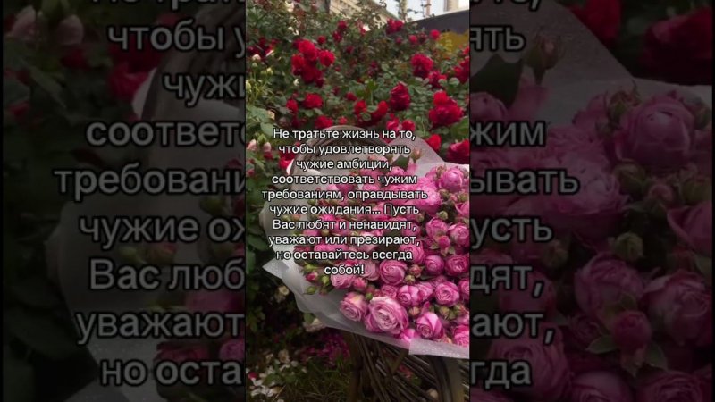 22 августа 2023 г.