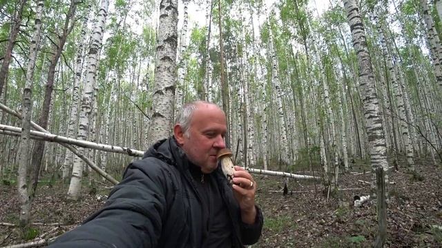 Поход за грибами 2022 / БЕЛЫМИ грибами ОТКРЫЛ сезон / Поход в лес 2022 смотреть онлайн