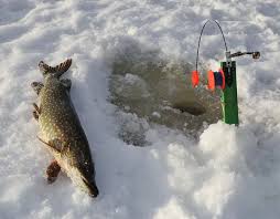 Зимняя рыбалка,ловим окушат на живца и ставим жерлицы на щуку.