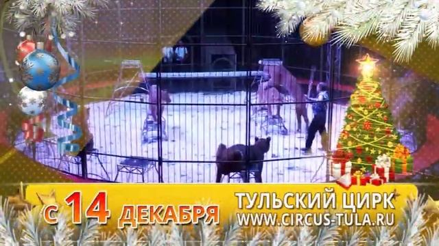 Новогоднее представление в цирке тула. Цирк тула. самый добрый новый год цирк тула.
