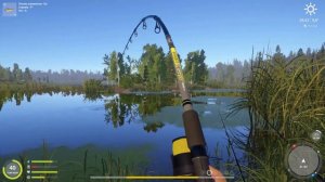 Русская рыбалка 4 / оз. Старый Острог / щука на живца и нежильца за островом