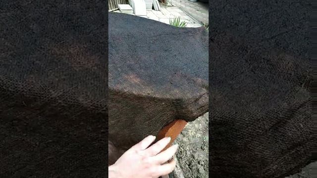Скумбрию горячего копчения больше не покупаем,готовим сами.#скумбрия#скумбриягорячегокопчения