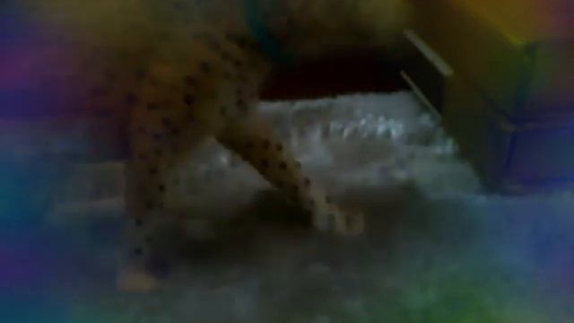 Как нужно снимать видео с шляйх и с другими фирмами смотреть онлайн