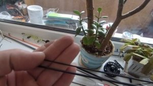 Хлыстики для самодельных зимних удочек, зависимость строя от места реза