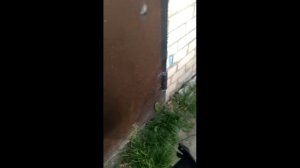 Шумоизоляция багажника на Хёндэ Солярис часть 2