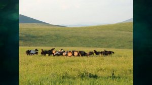 §21 'Биологическое разнообразие в природе', География 7 класс, Полярная звезда
