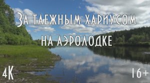 ? За таежным хариусом на аэролодке. Такая вот таежная рыбалка